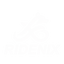 RIDENIX logo